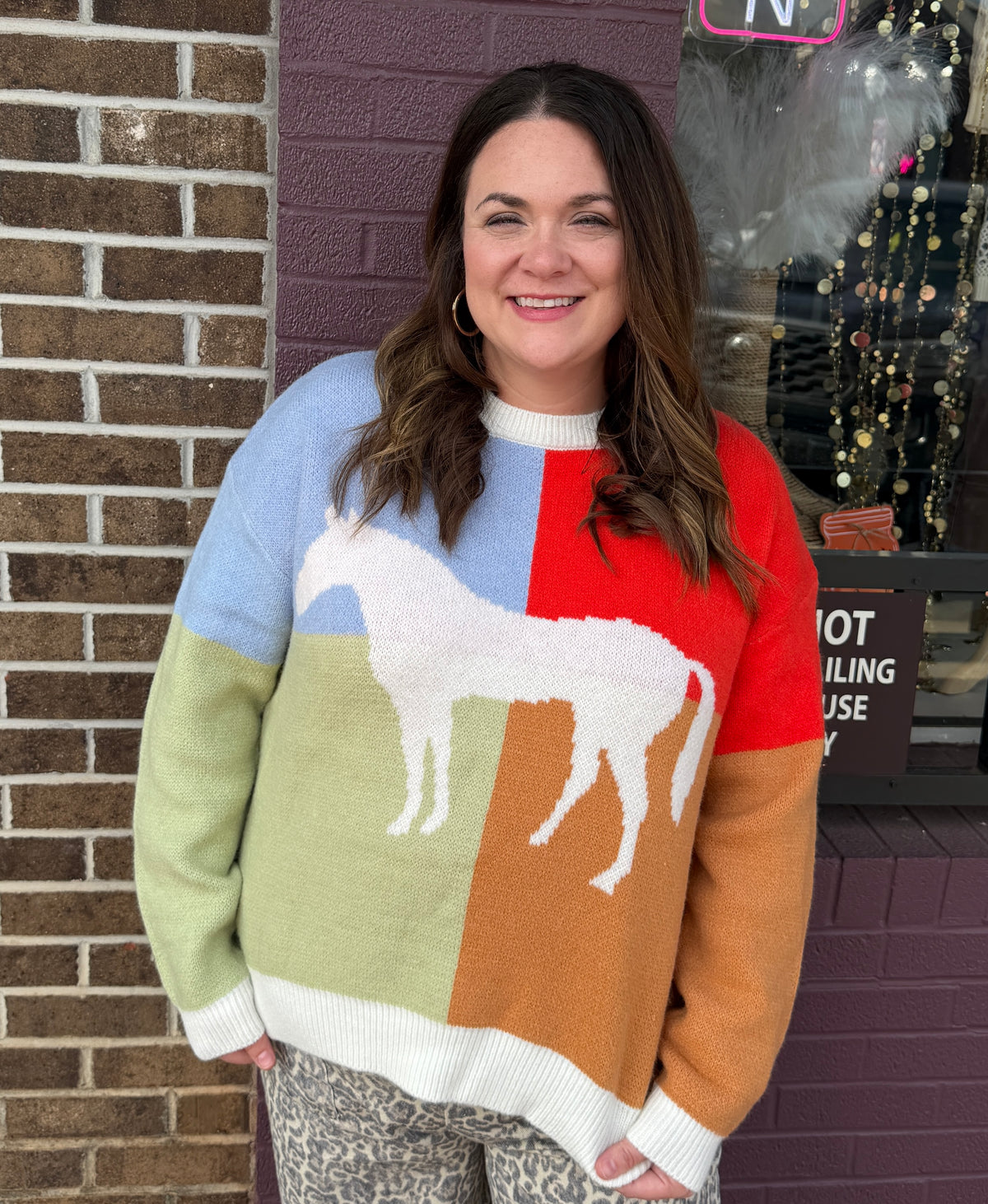 Colorblock Horse Sweater