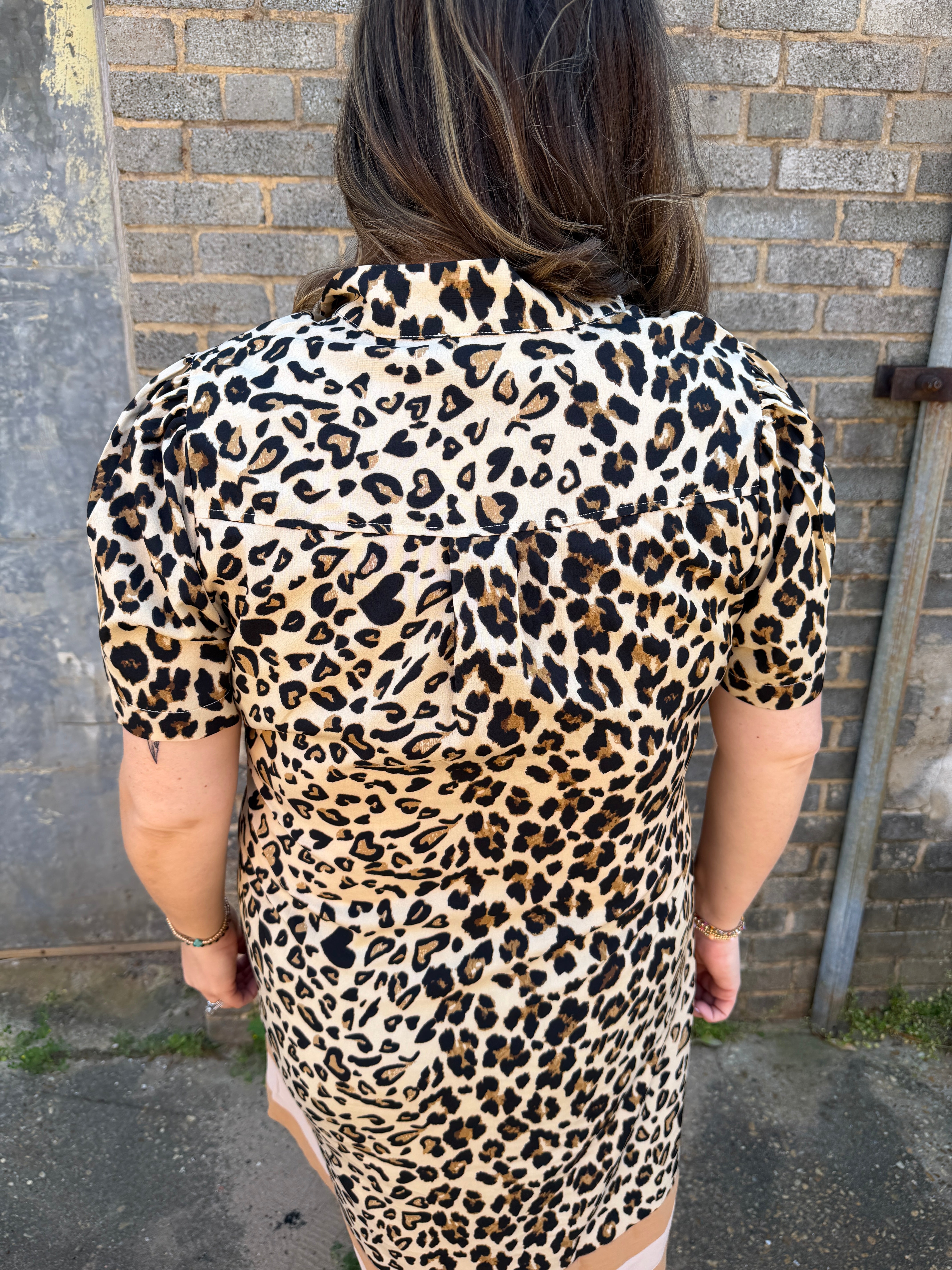 Leopard Shift Dress