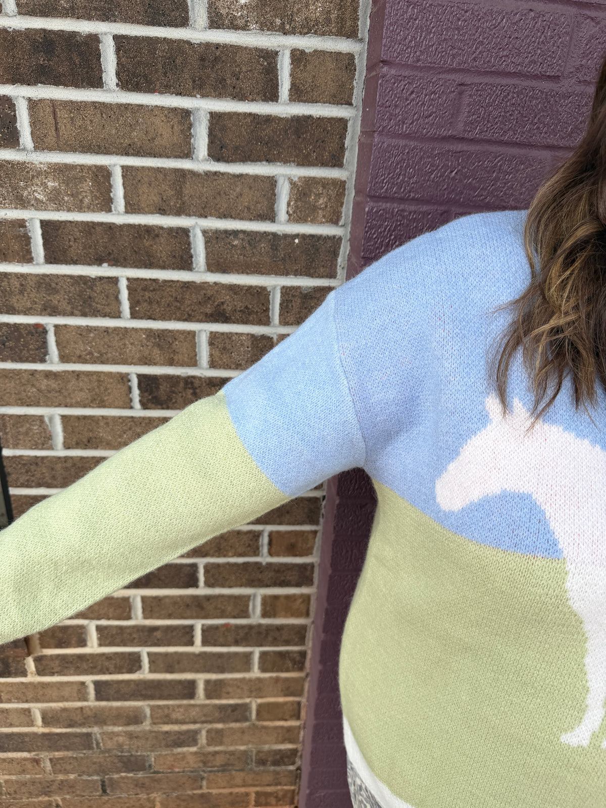 Colorblock Horse Sweater